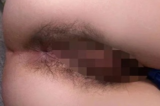剛毛
